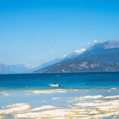 大发彩票正规平台