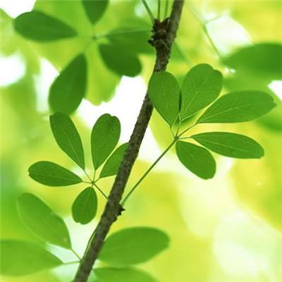 助赢软件app下载