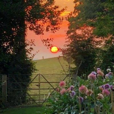 天博tb综合体育官方app