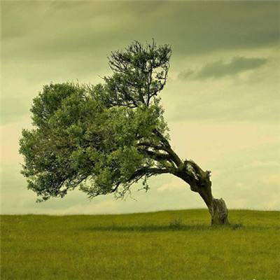 助赢软件app下载