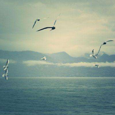 乐鱼官方-登录入口