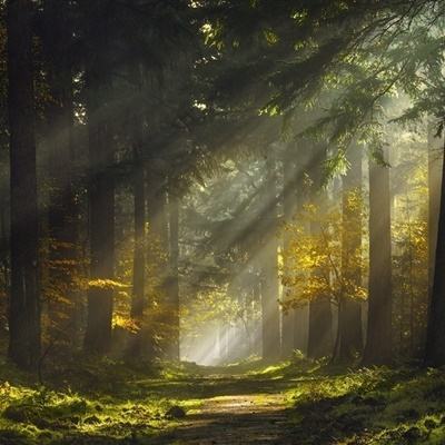 手游赏金女王免费下载截图