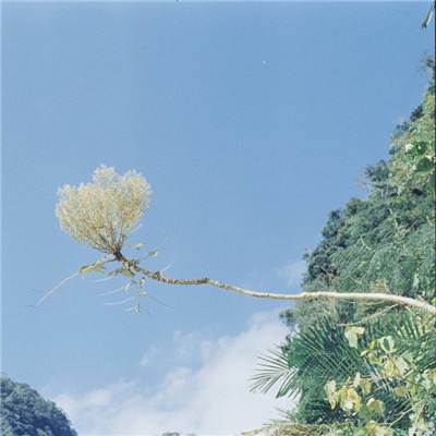 必一体育官方下载入口