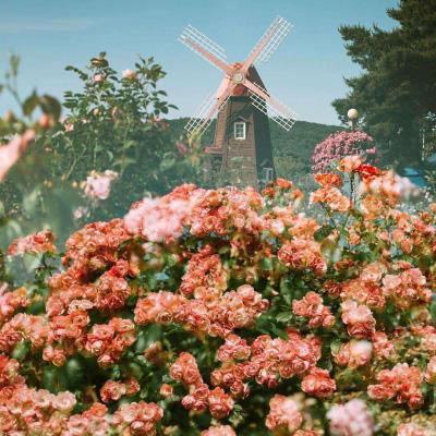 星空体育娱乐官网