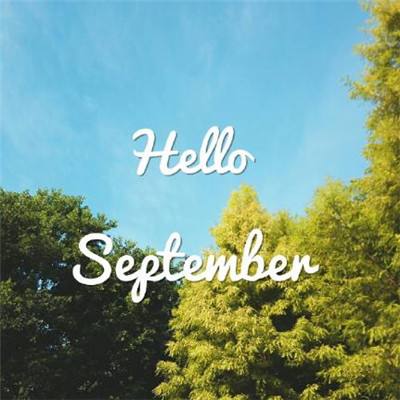 九州官网十年信誉玩家首选