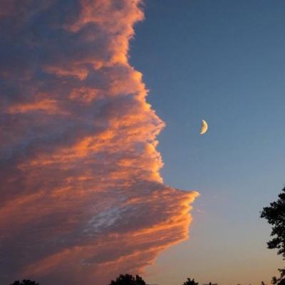 ManBetX网页版登录