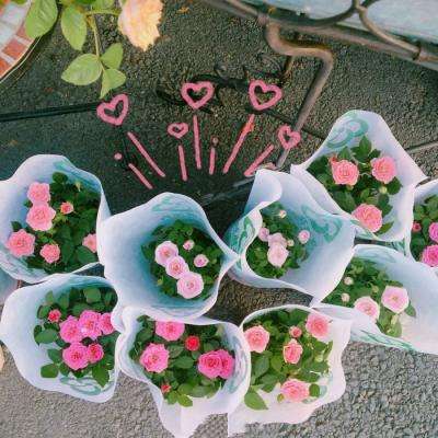 kdpay钱包app最新版本