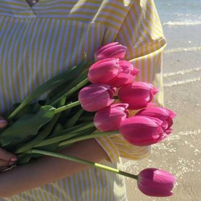 天成彩票APP下载