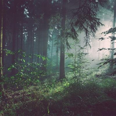 开元ky888网址进入2024入口