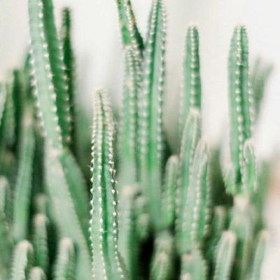 乐鱼官方-登录入口